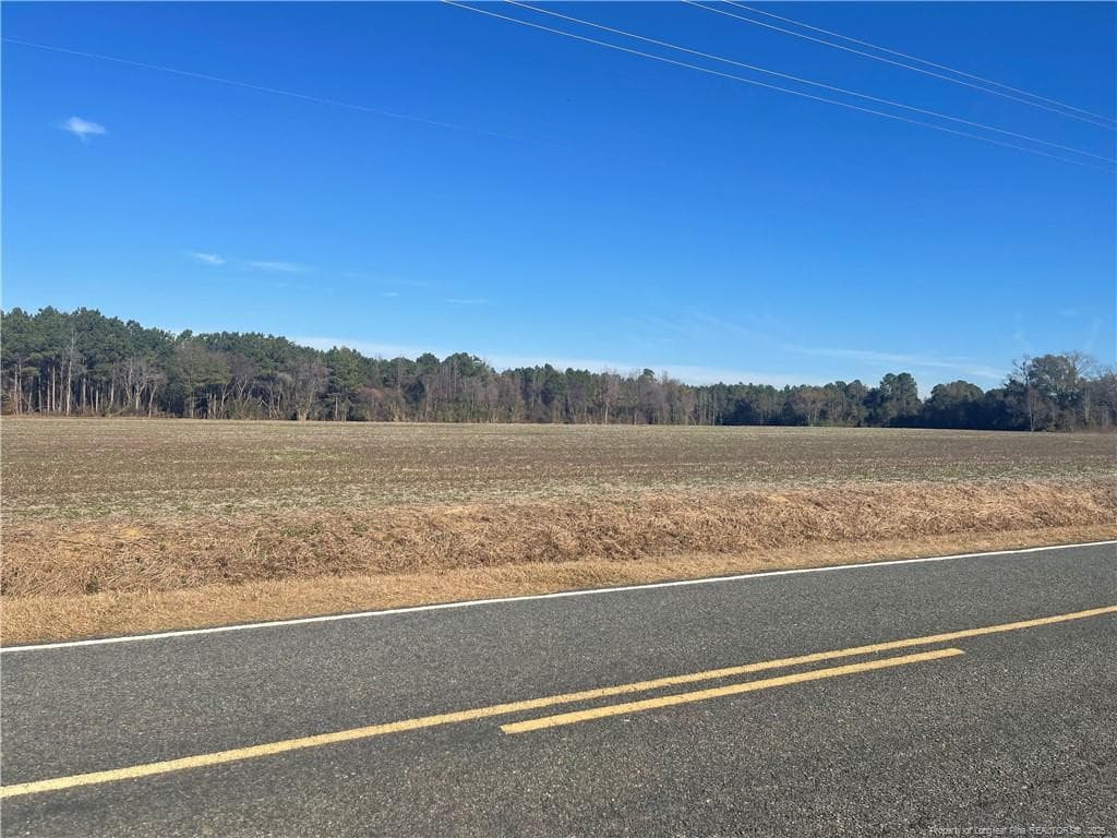 Photo 2 - Tobacco Road, Orrum, NC 28369