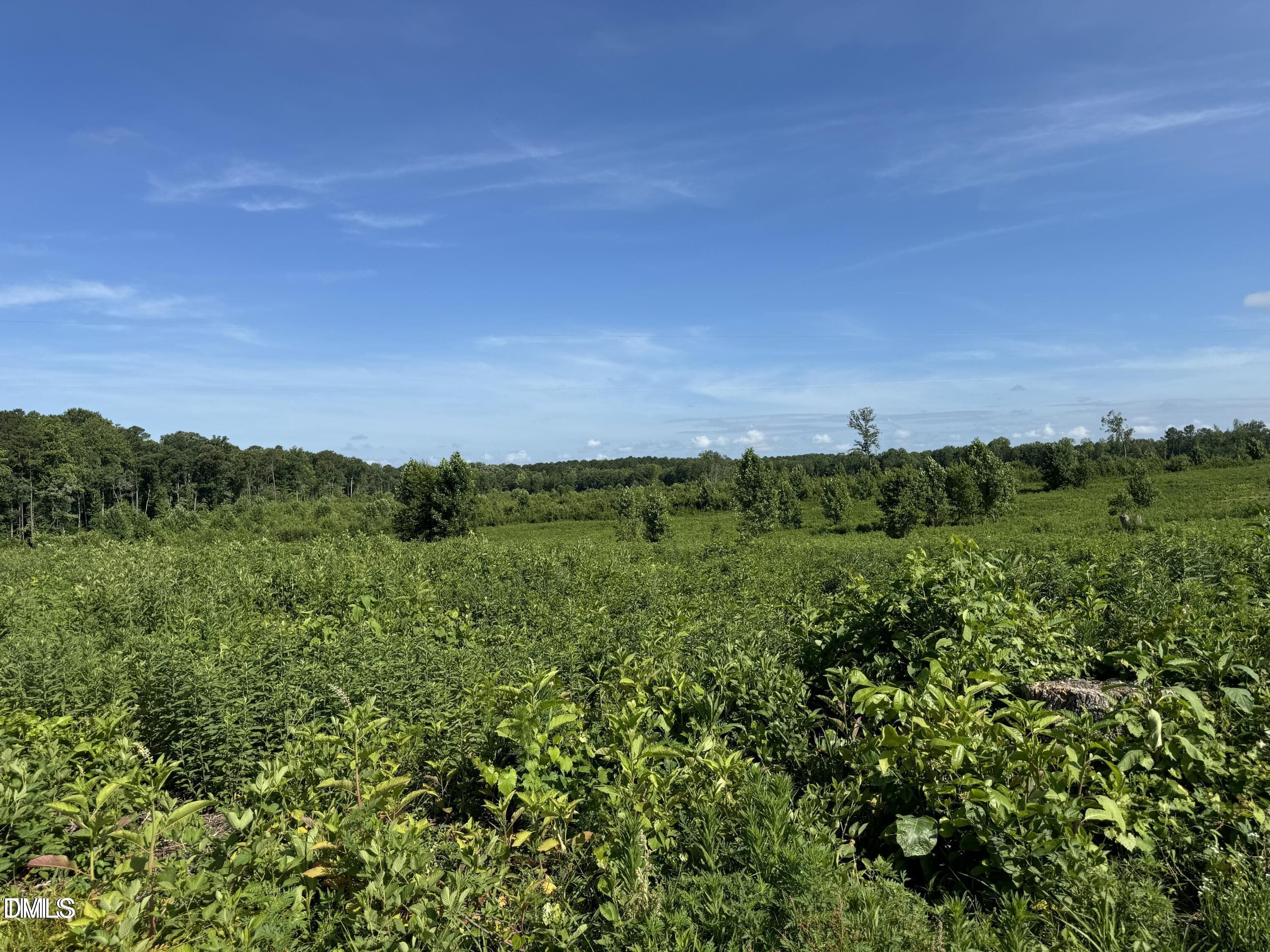 9485 N Carolina 39, Middlesex, NC 27557