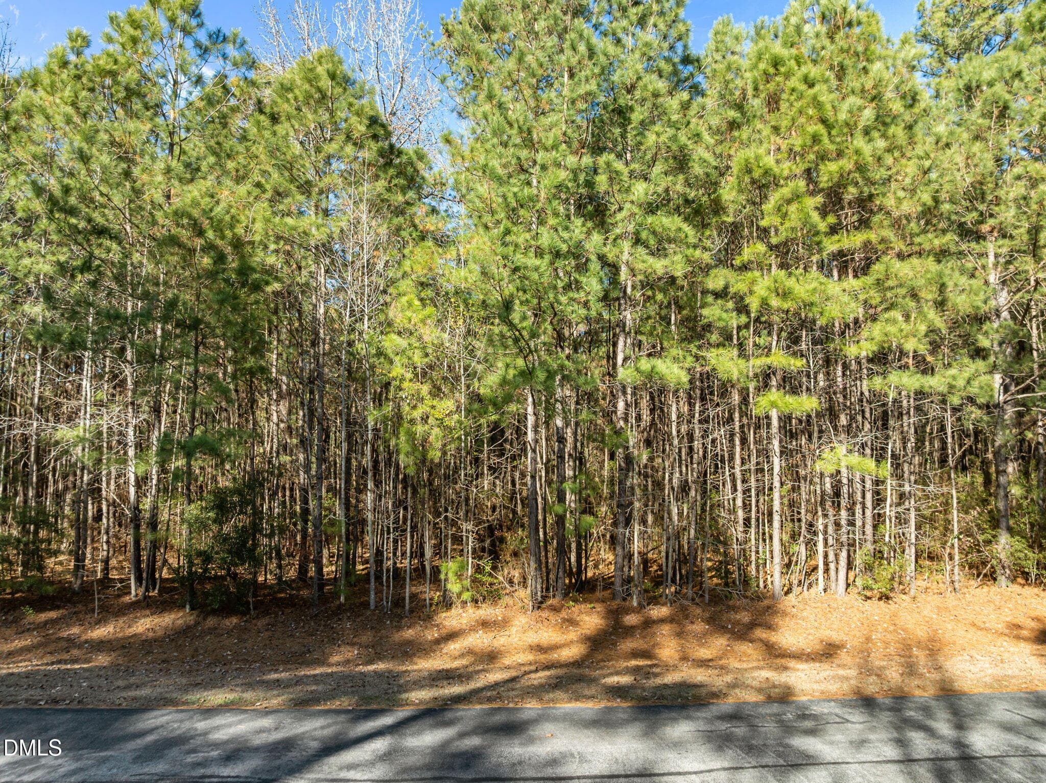 3-web-or-mls-DJI_0820 - 0 Bailey Pointe Road, Belhaven, NC 27810