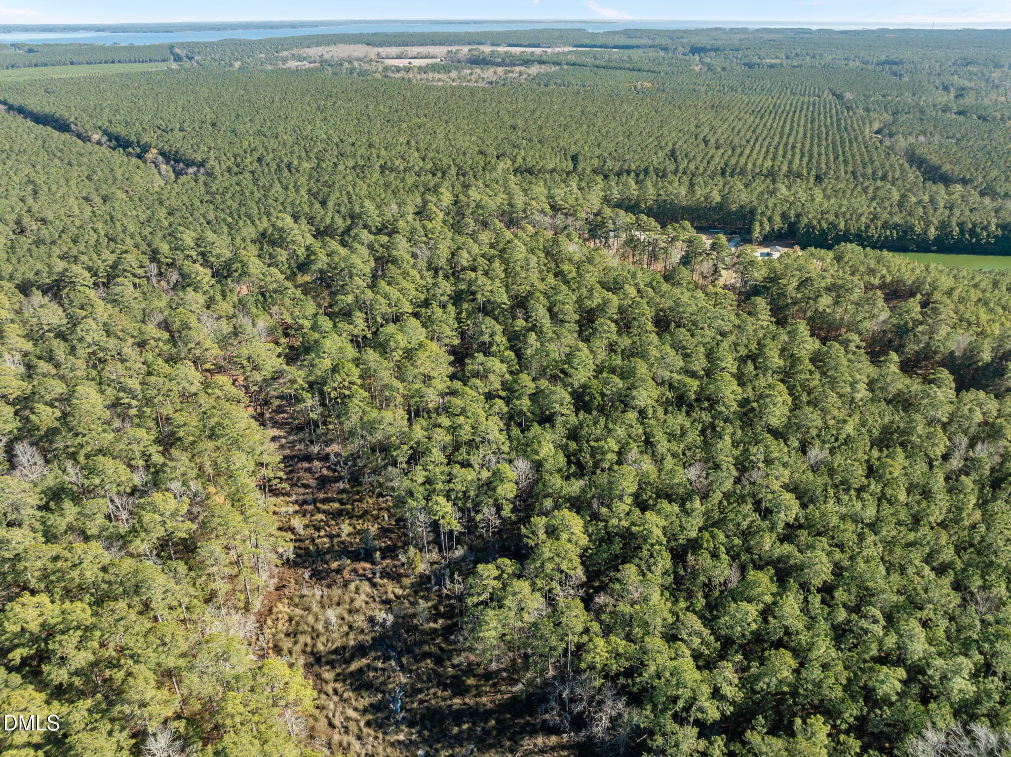 7-web-or-mls-DJI_0813 - 0 Bailey Pointe Road, Belhaven, NC 27810