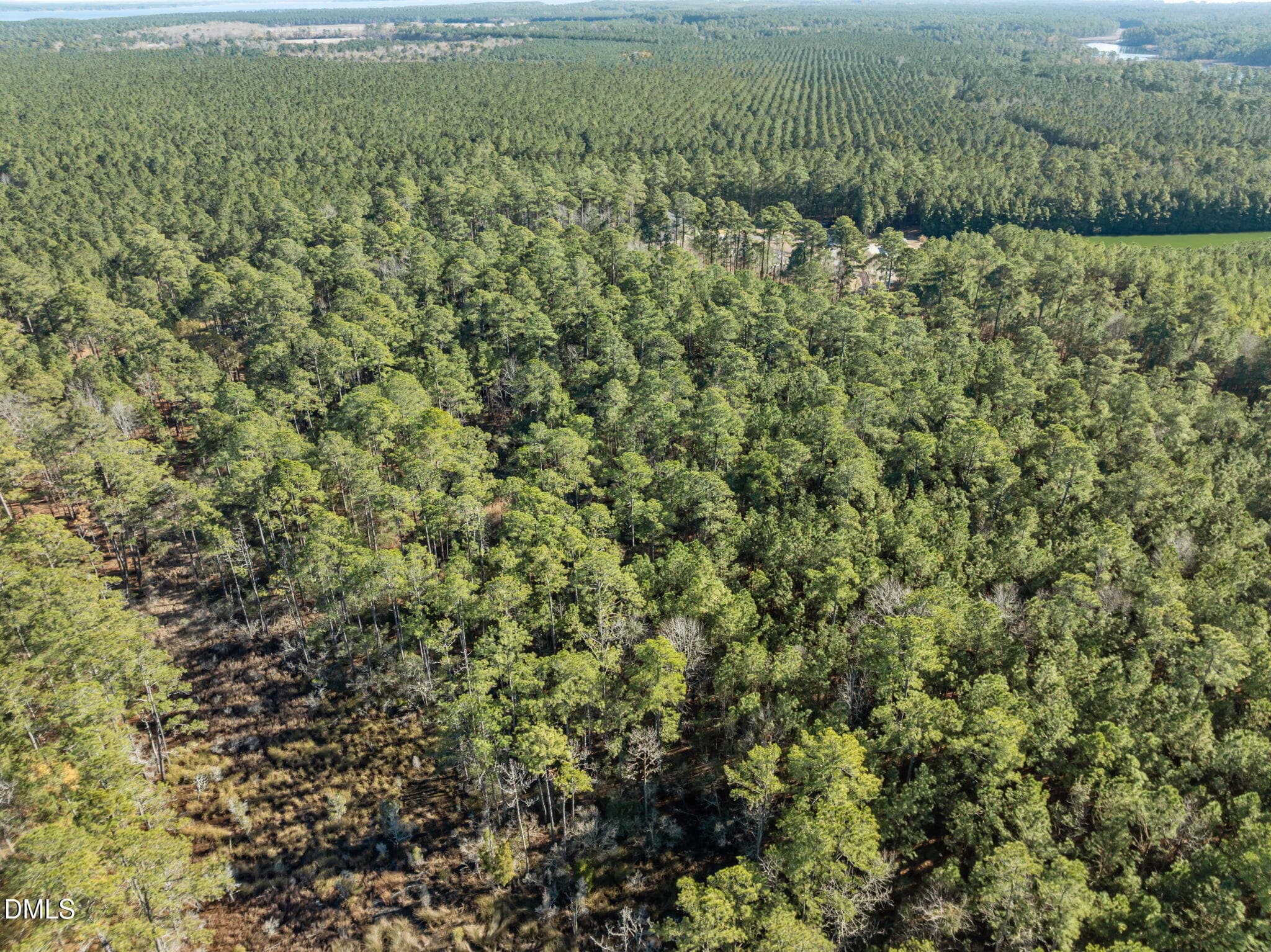 12-web-or-mls-DJI_0818 - 0 Bailey Pointe Road, Belhaven, NC 27810