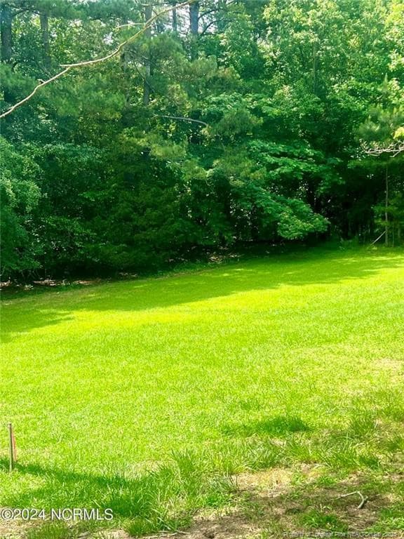 Photo 2 - 202 Millstone Court, West End, NC 27376, West End