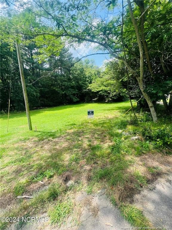 Photo 7 - 202 Millstone Court, West End, NC 27376, West End