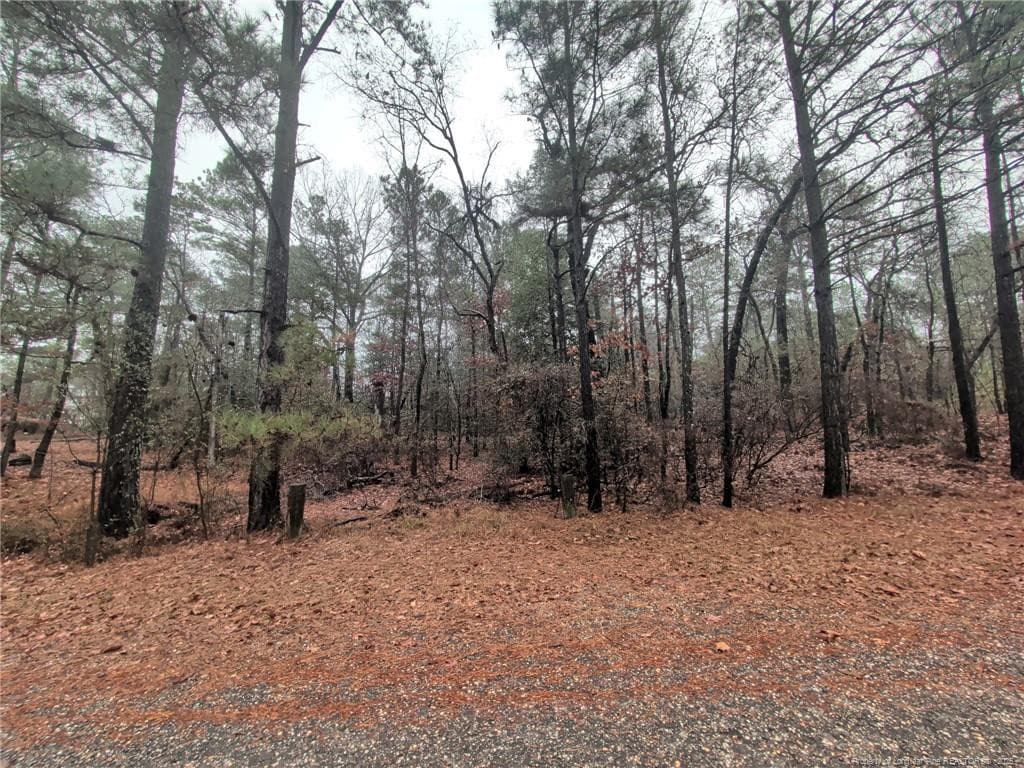 1211 Laurel Circle, Vass, NC 28394