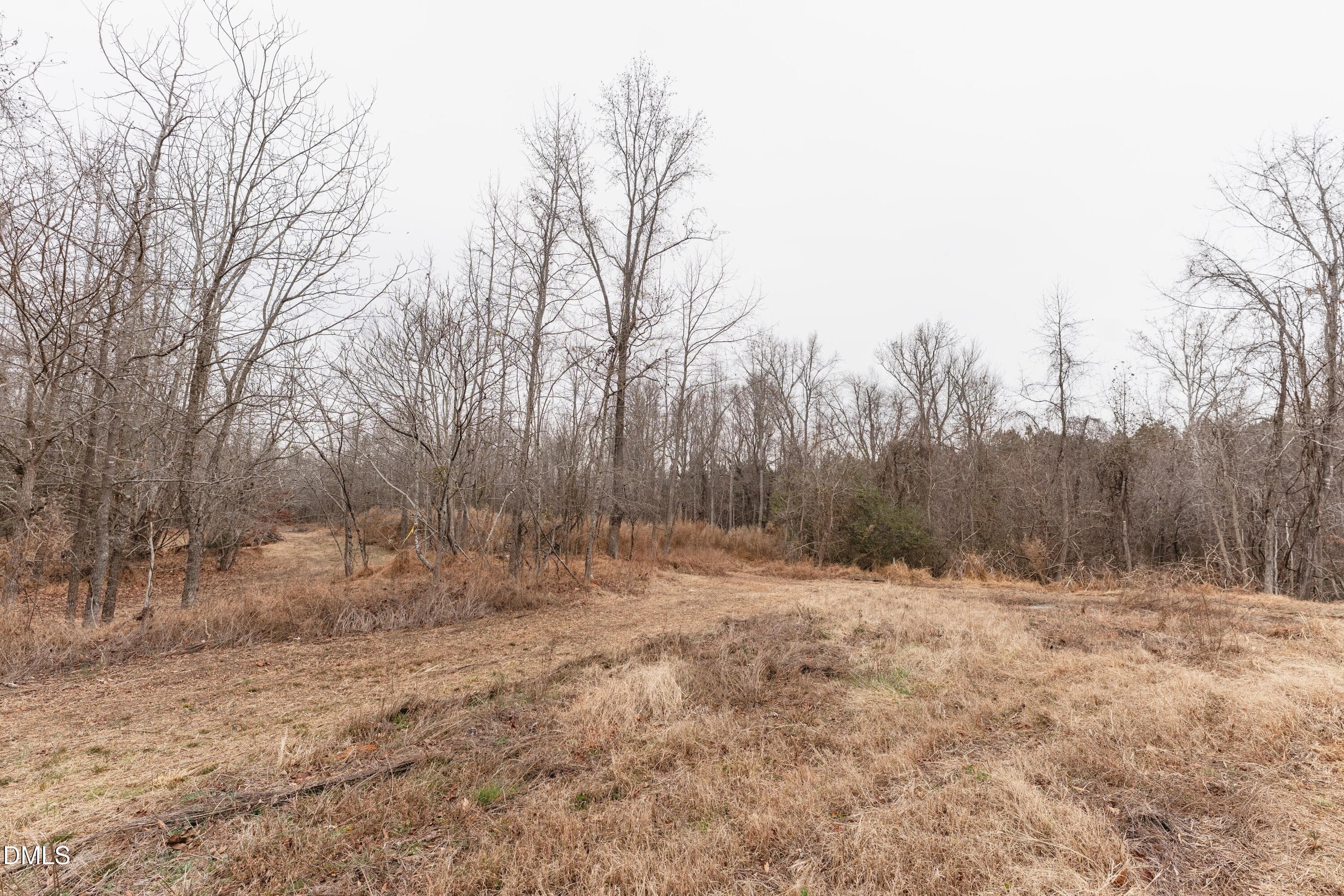 DSC06539 - 1519 Oxford Road, Roxboro, NC 27573