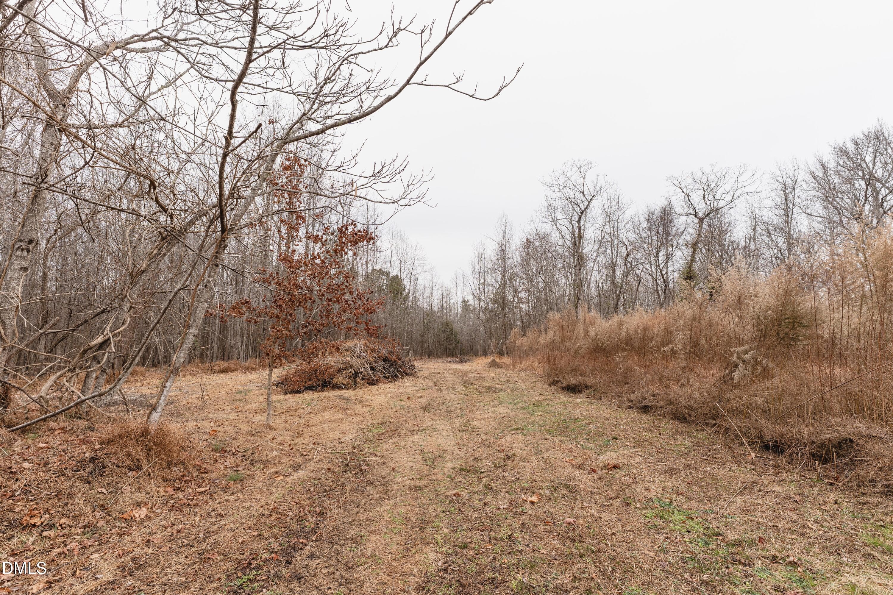 DSC06542 - 1519 Oxford Road, Roxboro, NC 27573