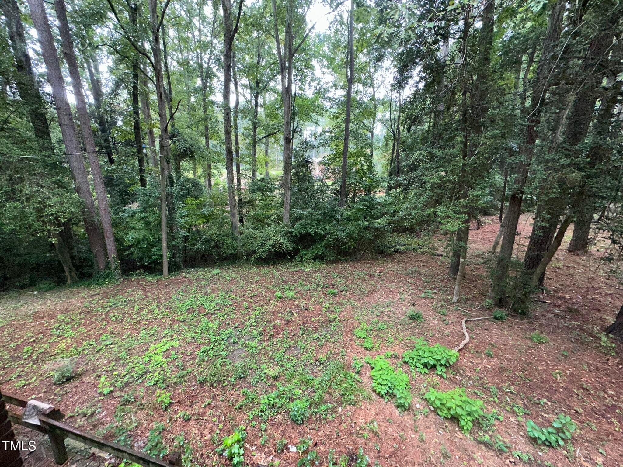 IMG_1815 - 293 Nicholson Road, Rockingham, NC 28379, Rockingham