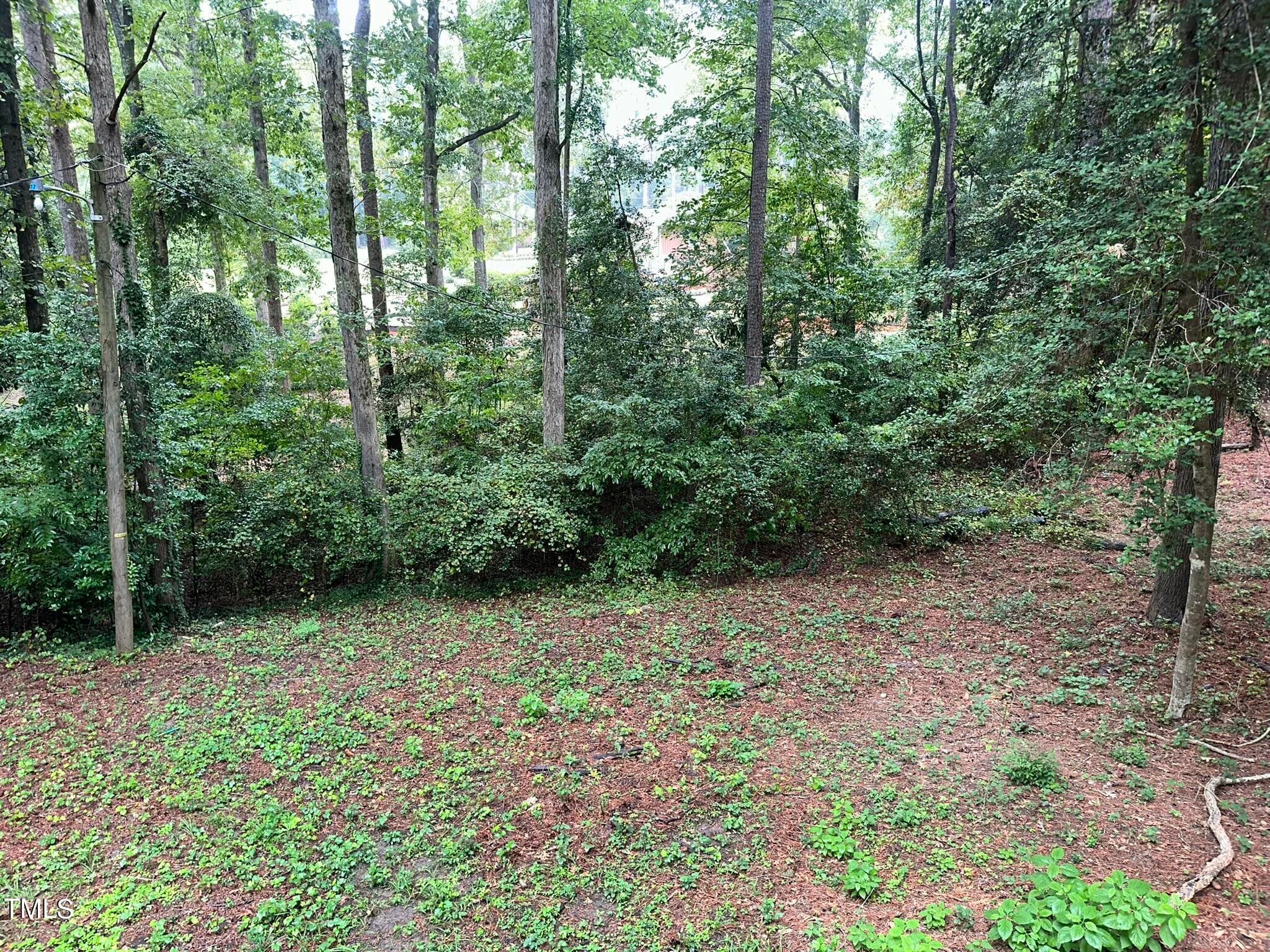 IMG_1816 - 293 Nicholson Road, Rockingham, NC 28379, Rockingham