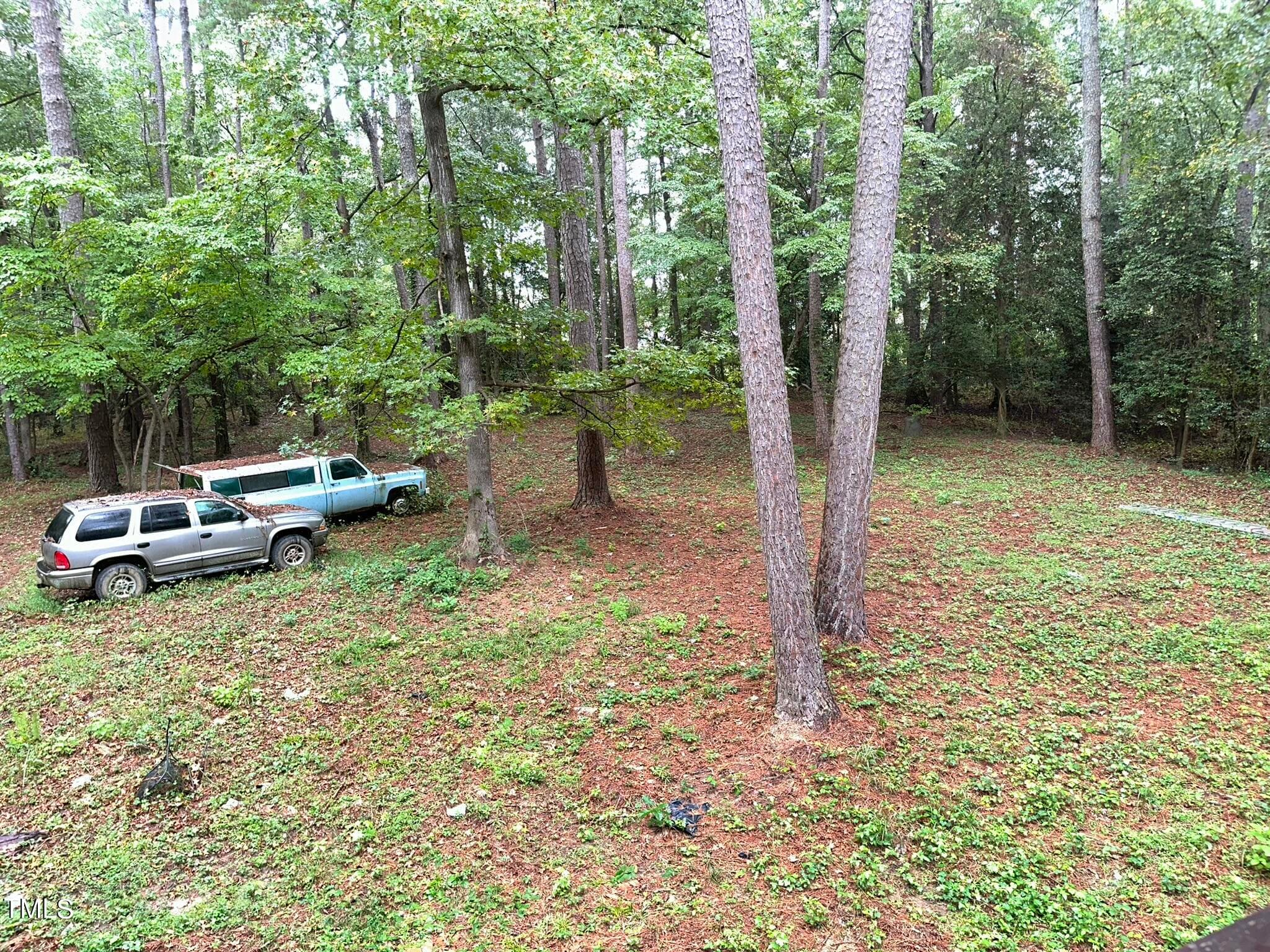 IMG_1823 - 293 Nicholson Road, Rockingham, NC 28379, Rockingham