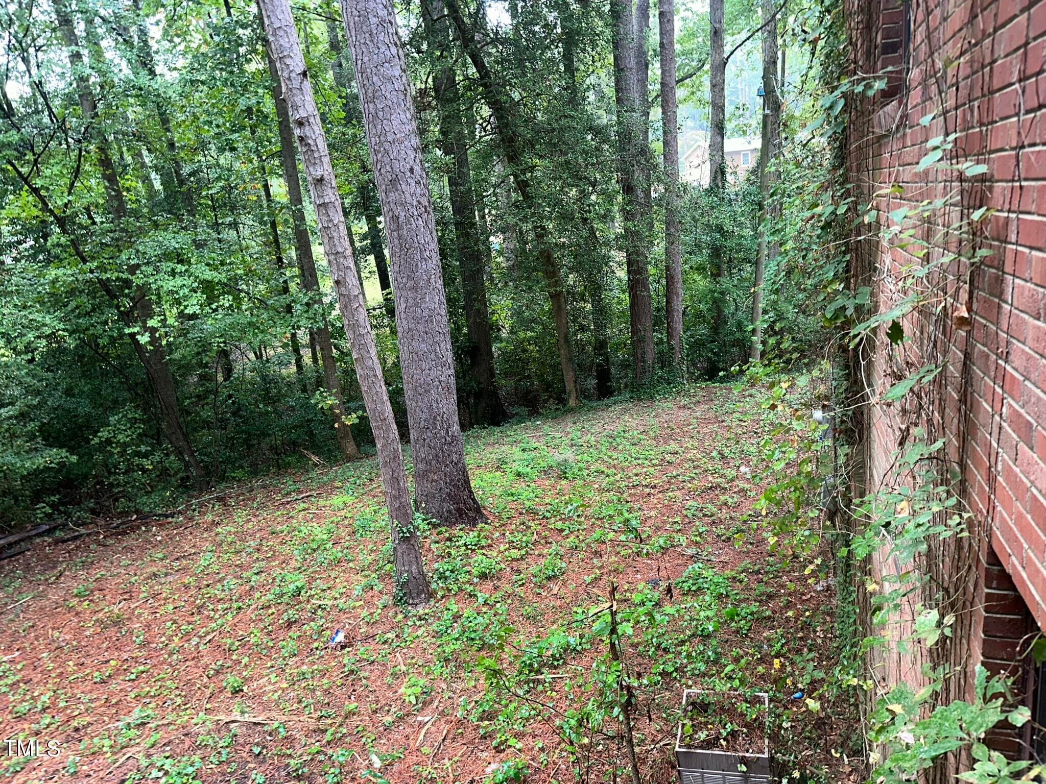 IMG_1801 - 293 Nicholson Road, Rockingham, NC 28379, Rockingham