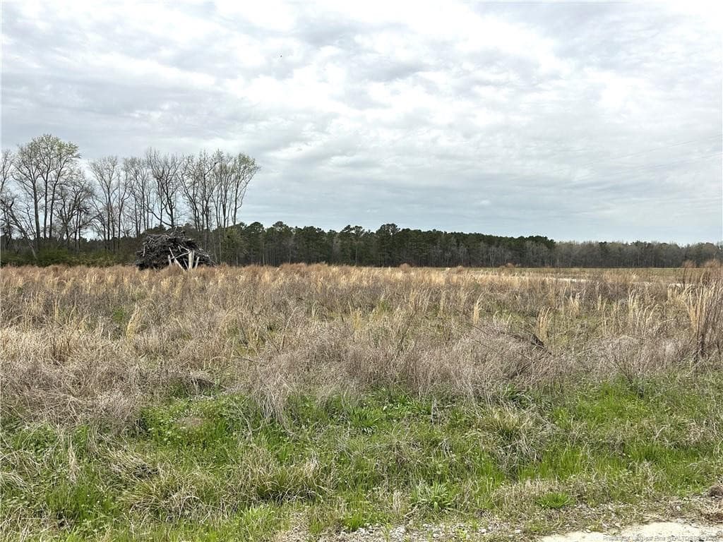 Costner Road, Lumber Bridge, NC 28357