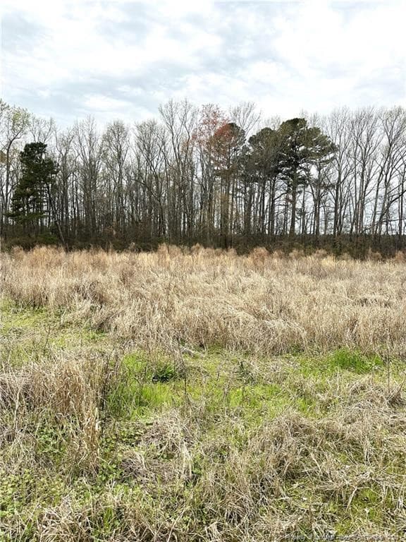 Photo 2 - Costner Road, Lumber Bridge, NC 28357