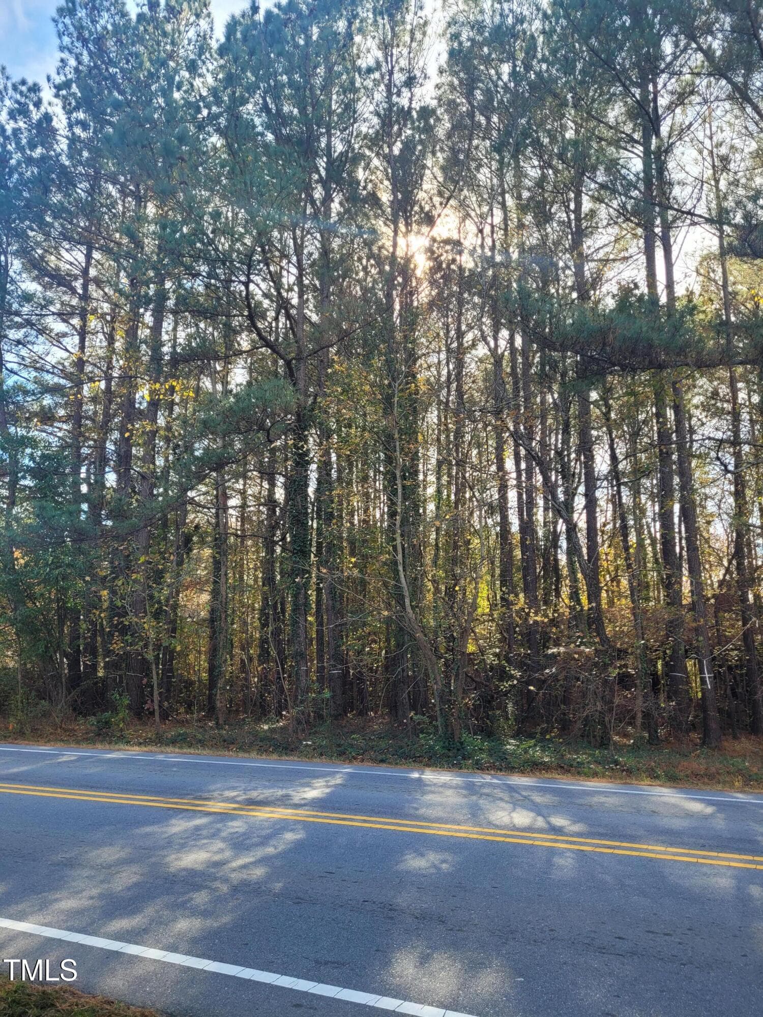 4225/4229 Hilltop Needmore Road, Fuquay Varina, NC 27526