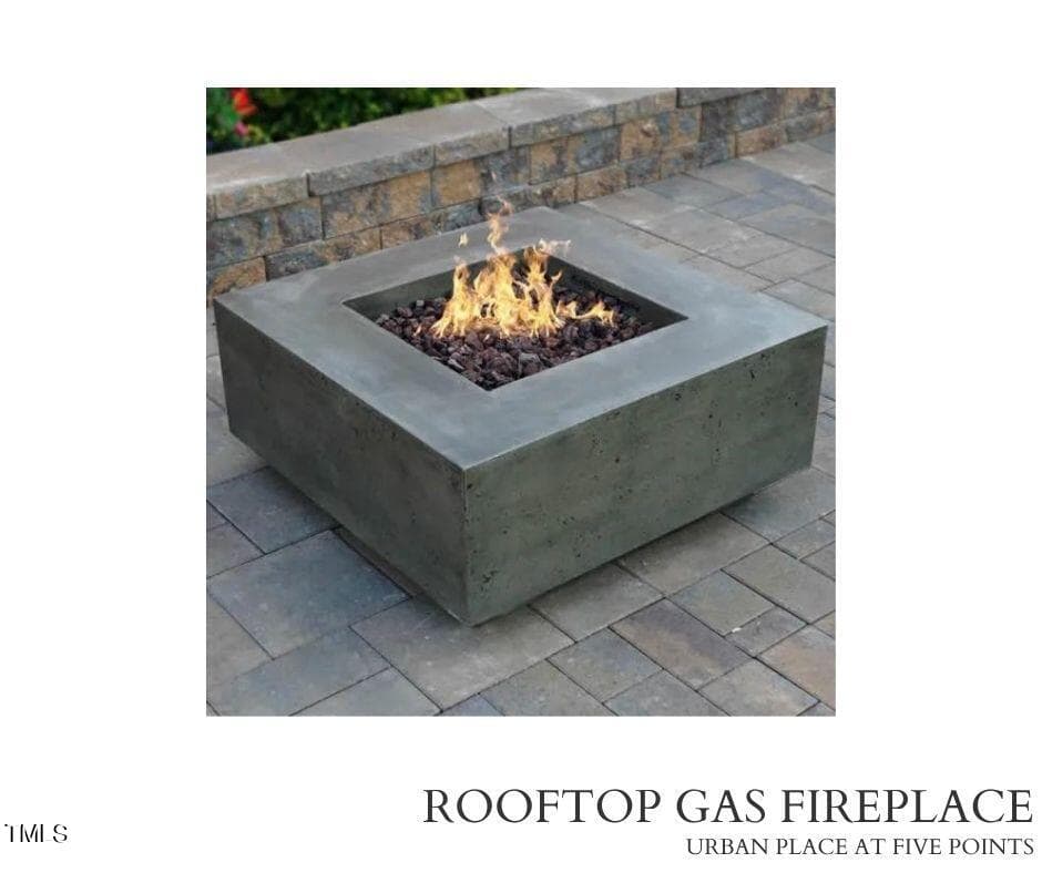 ROOFTOP GAS FIREPLACE - 1521 Havenmont Court, Raleigh, NC 27608, Raleigh