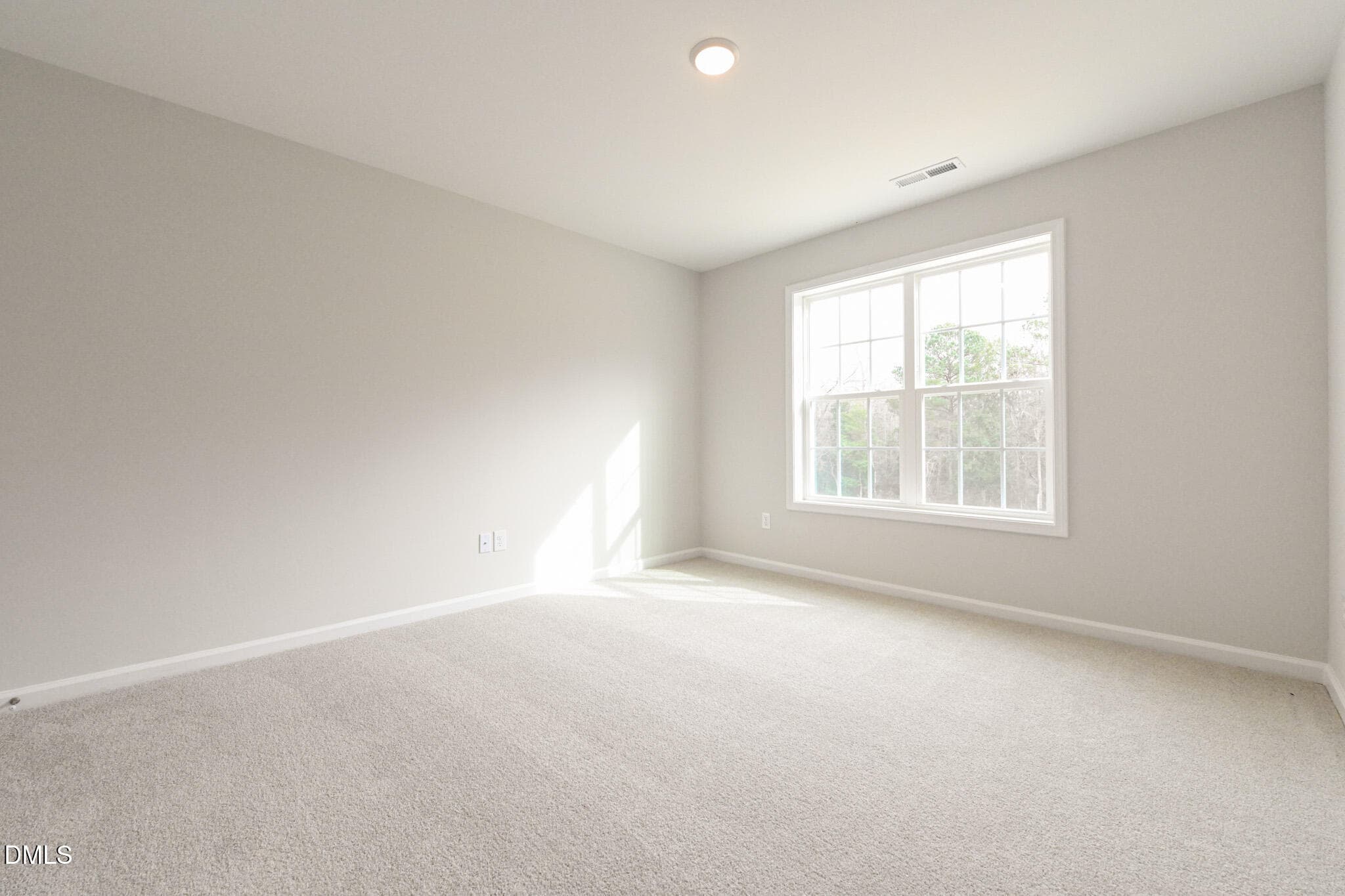 023 - 322 Black Duck Lane, Lillington, NC 27546