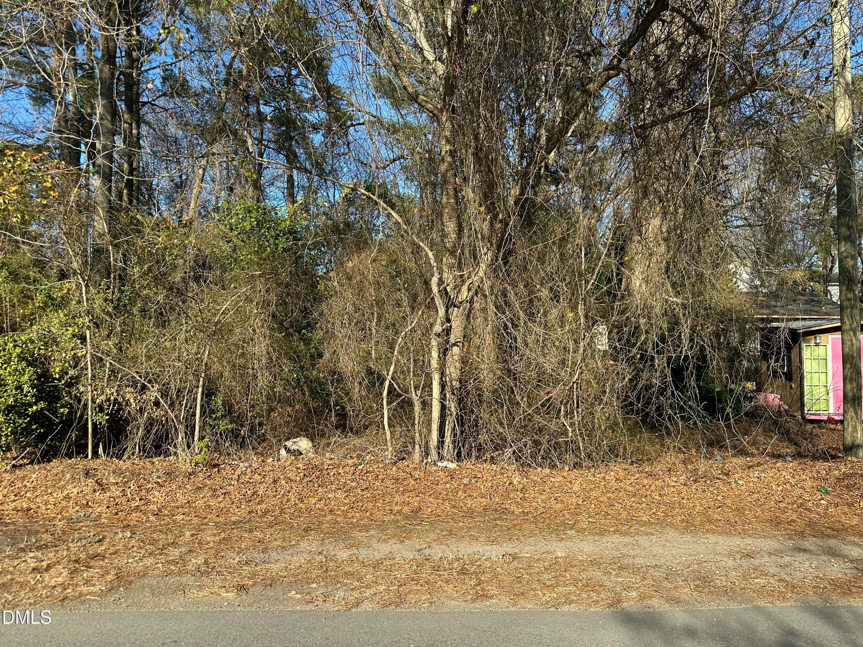 1000017919 - 0 W Old Road, Lillington, NC 27546