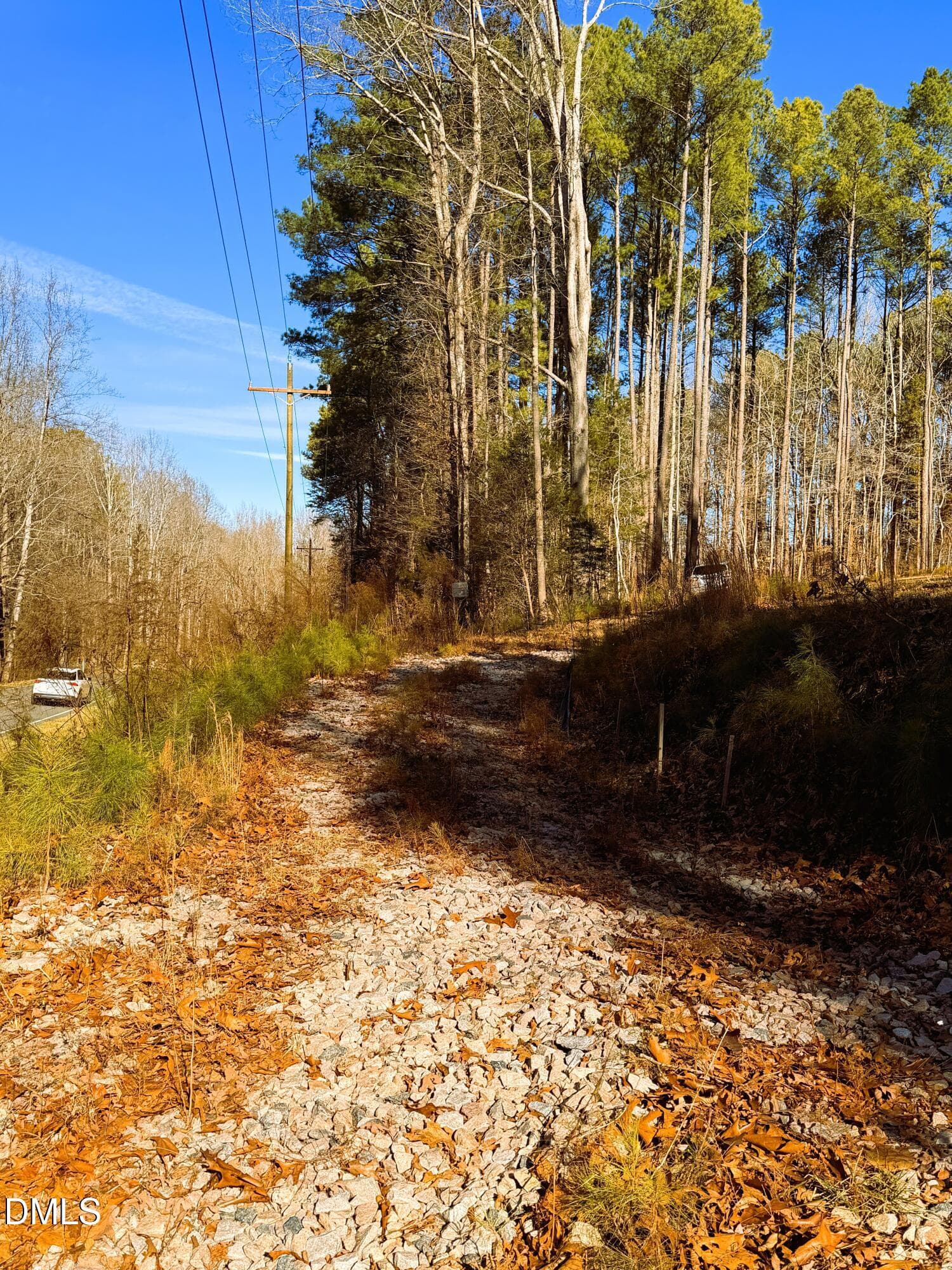 IMG_0317 - 318 Jones Ferry Road, Pittsboro, NC 27312, Pittsboro