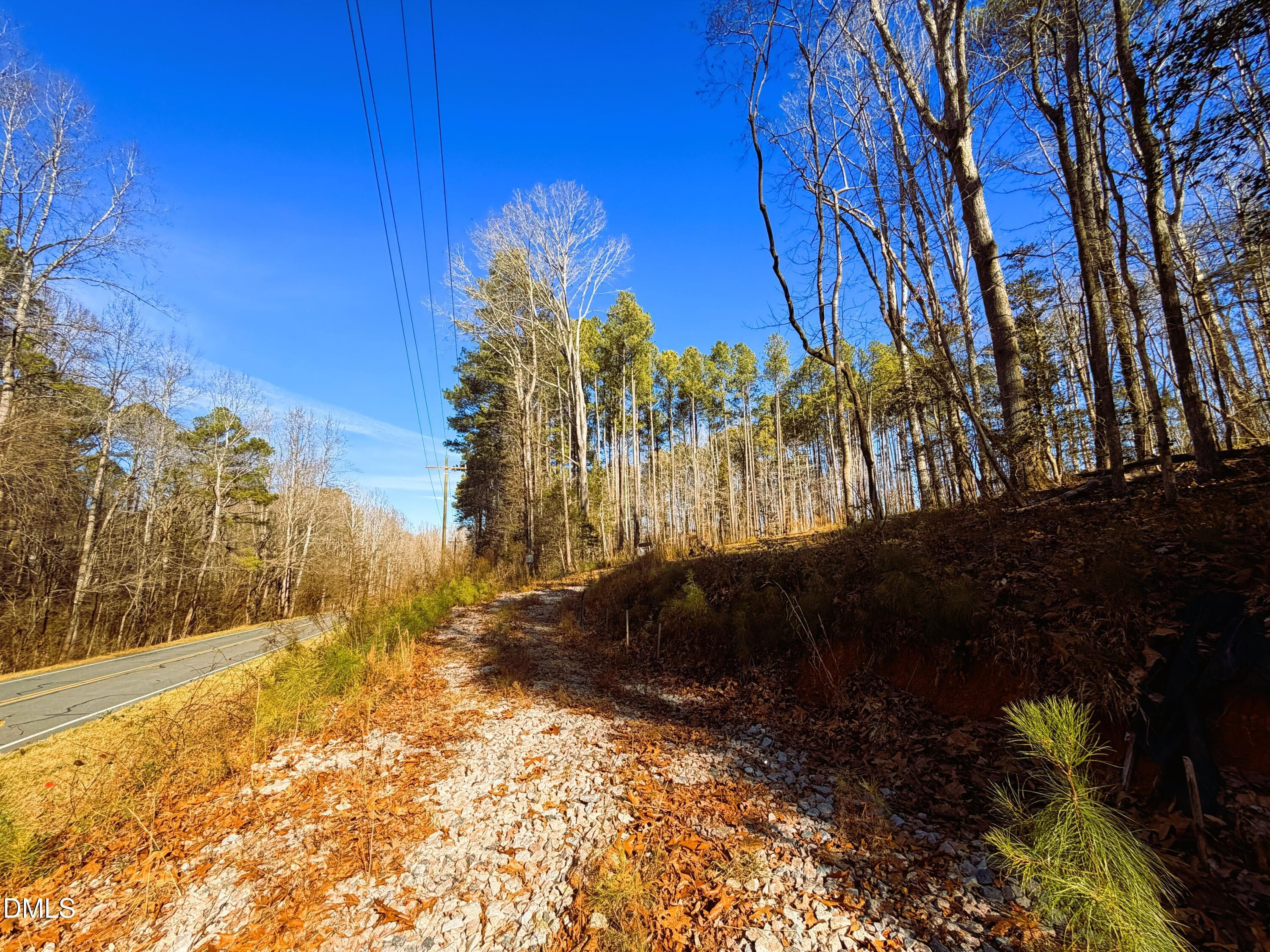 IMG_0318 - 318 Jones Ferry Road, Pittsboro, NC 27312, Pittsboro