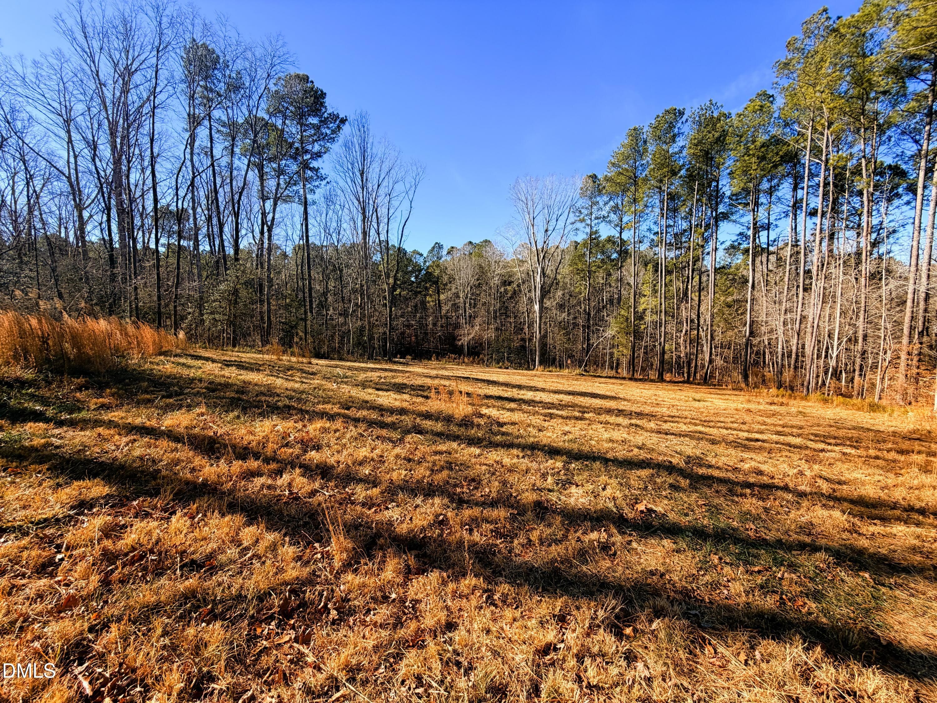IMG_0327 - 318 Jones Ferry Road, Pittsboro, NC 27312, Pittsboro
