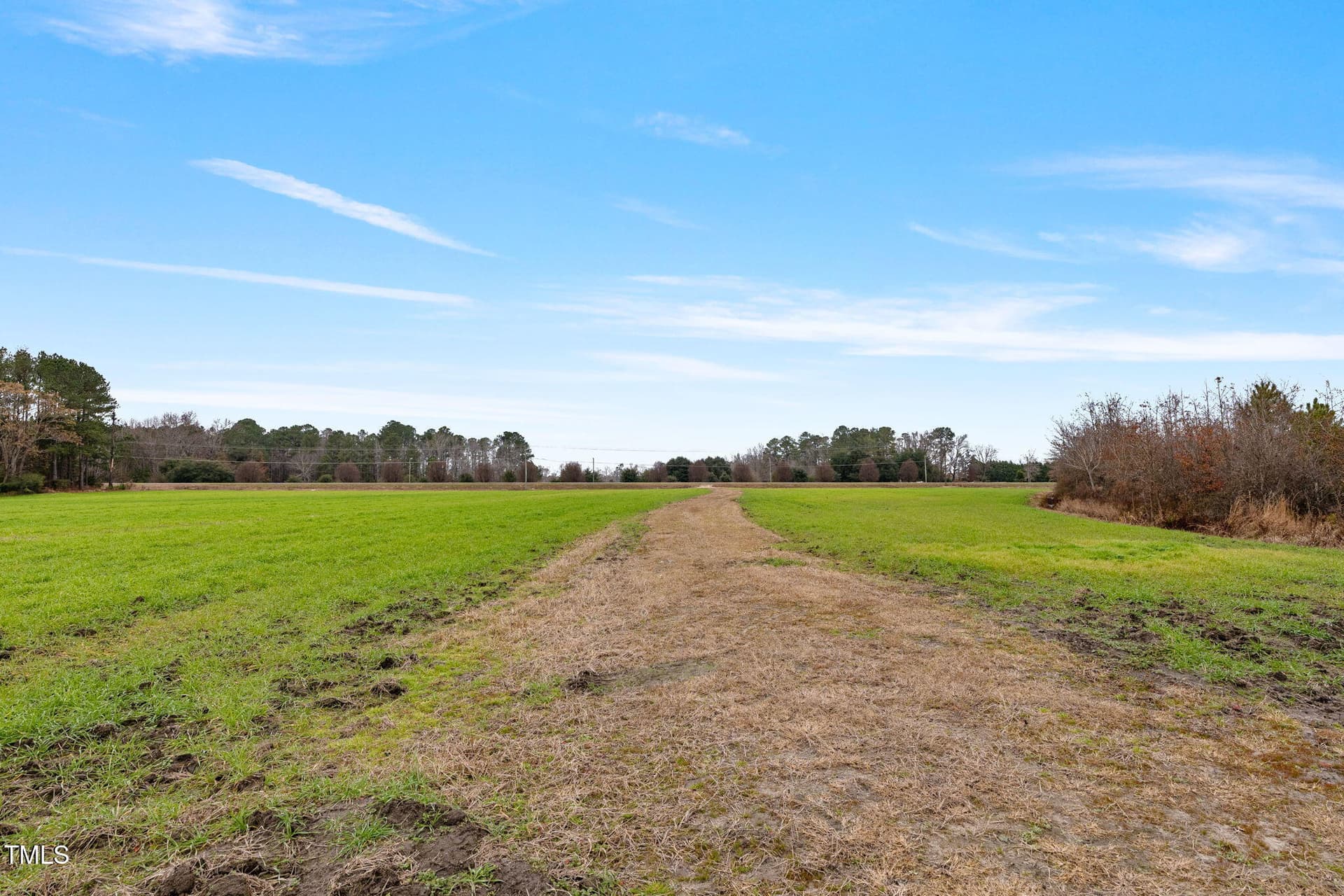 6-web-or-mls-P1331295 - 0 Ramsey Street, Linden, NC 28356