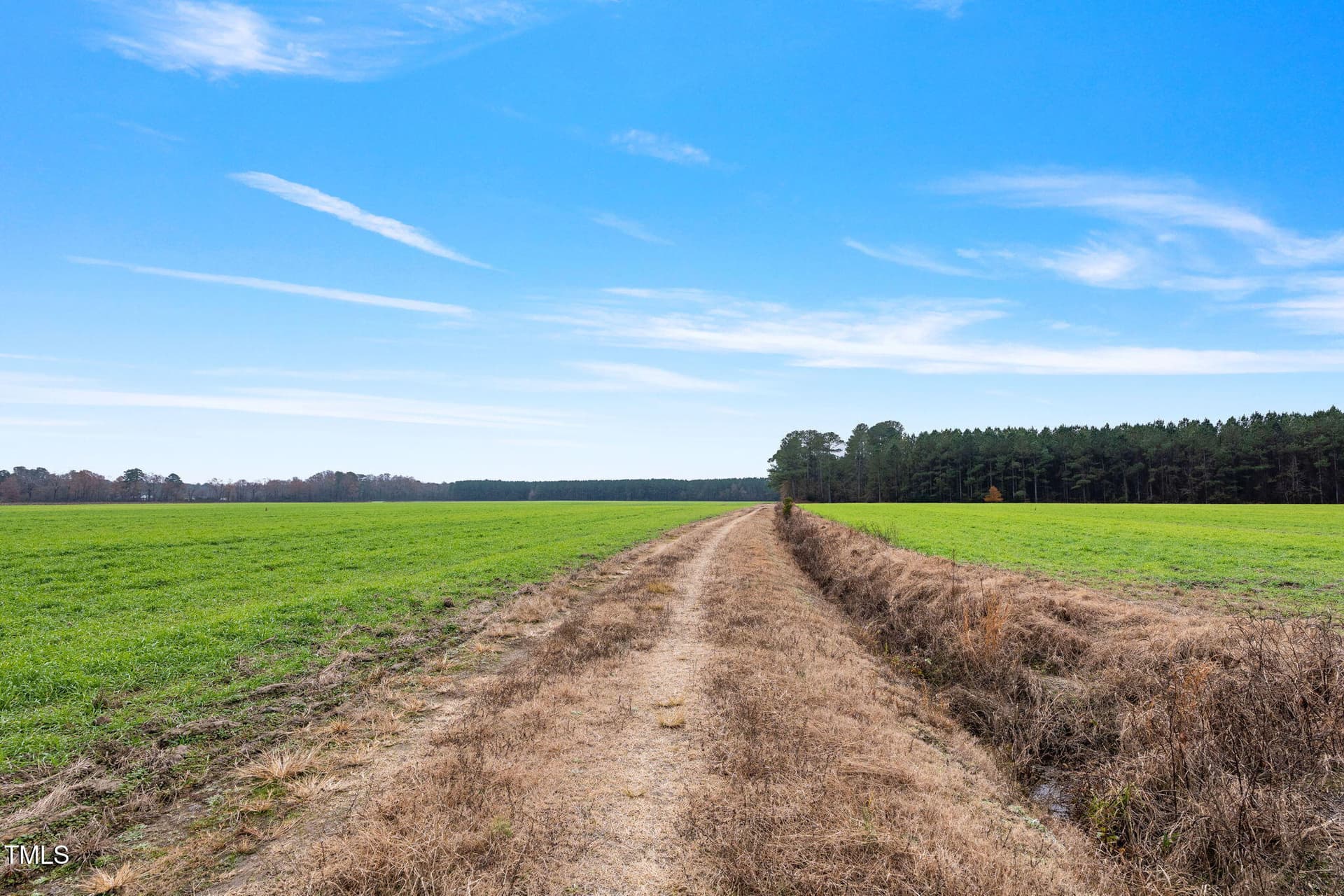 10-web-or-mls-P1331250 - 0 Ramsey Street, Linden, NC 28356