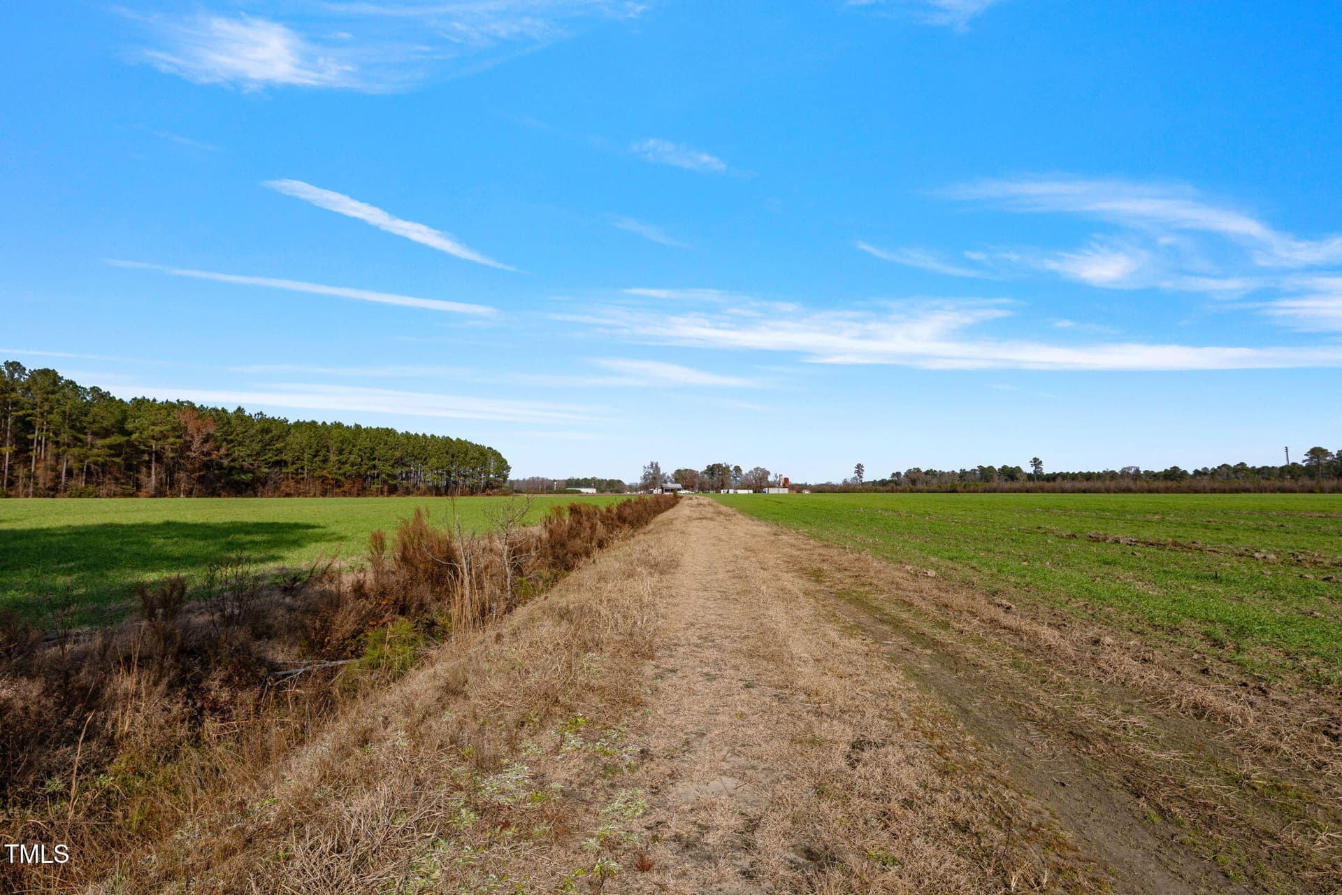 31-web-or-mls-P1331185 - 0 Ramsey Street, Linden, NC 28356