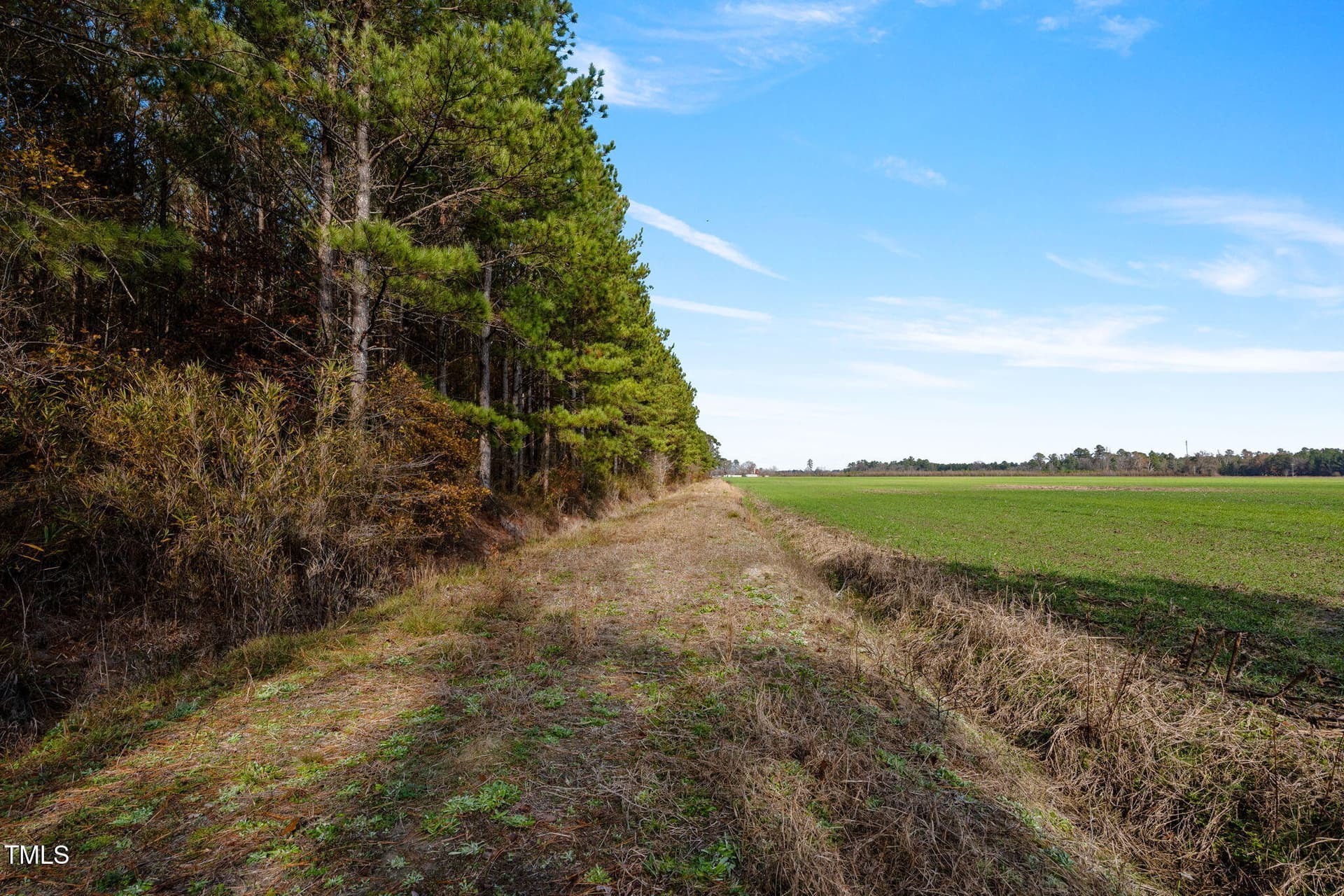 34-web-or-mls-P1331220 - 0 Ramsey Street, Linden, NC 28356