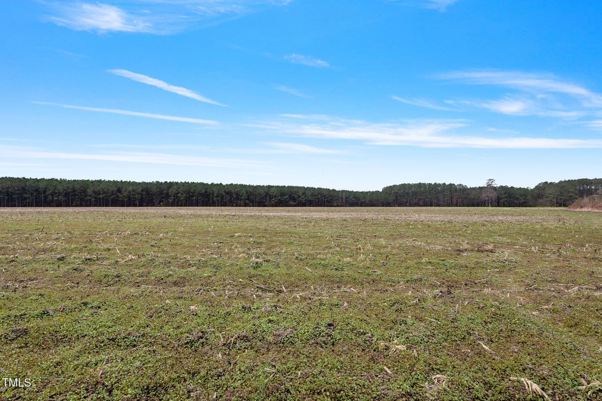 39-web-or-mls-P1331260 - 0 Ramsey Street, Linden, NC 28356