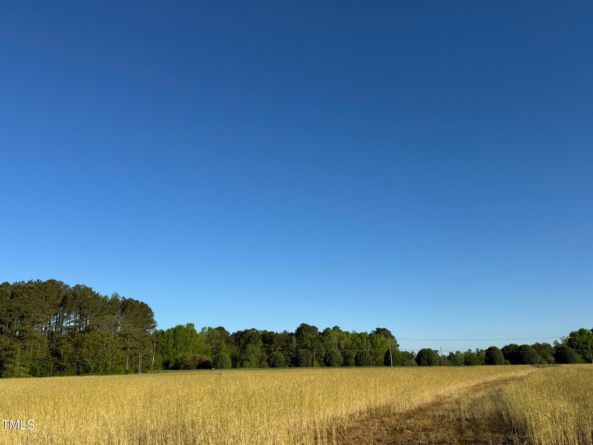 IMG_1548 - 0 Ramsey Street, Linden, NC 28356