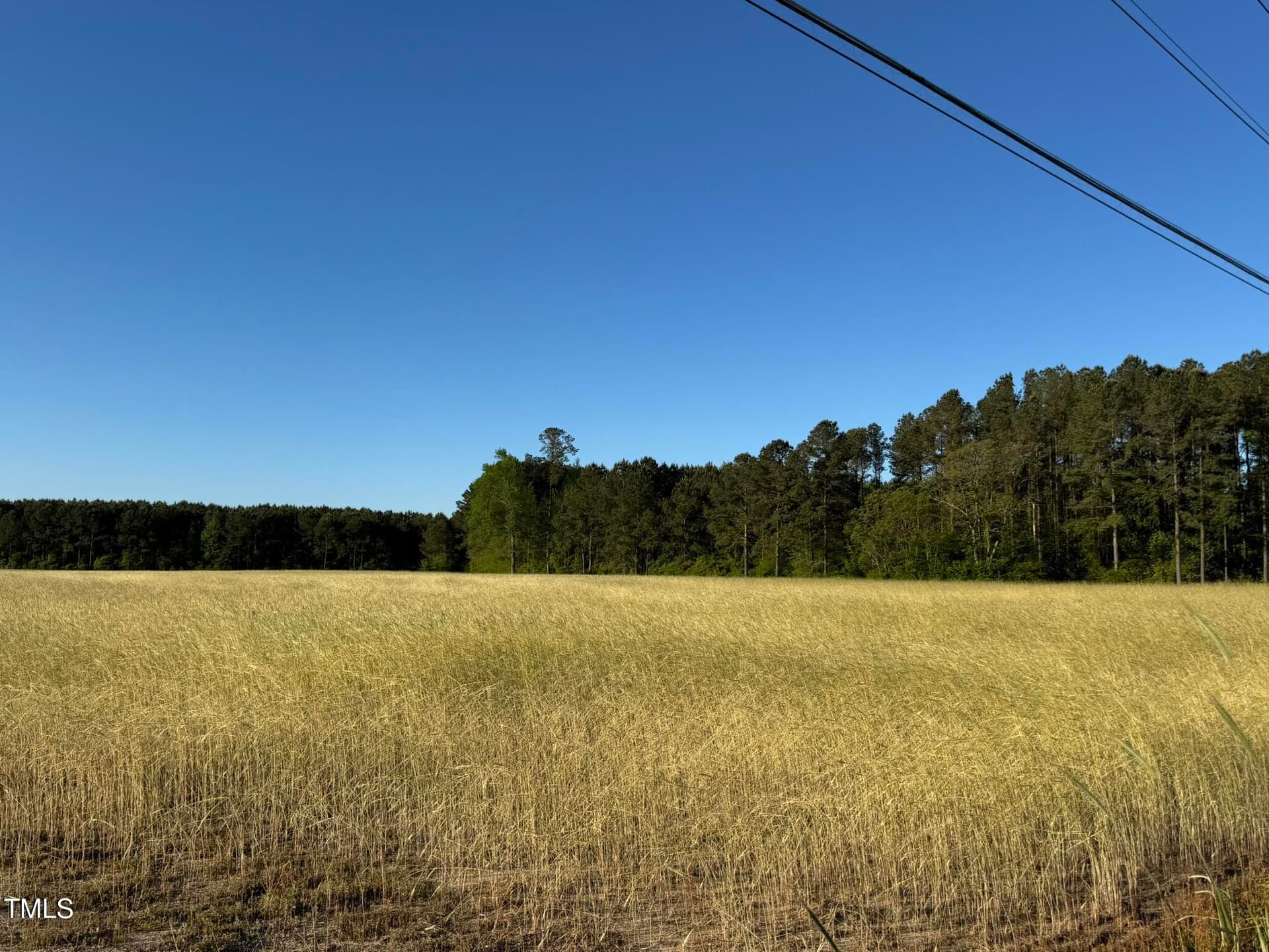 IMG_1554 - 0 Ramsey Street, Linden, NC 28356