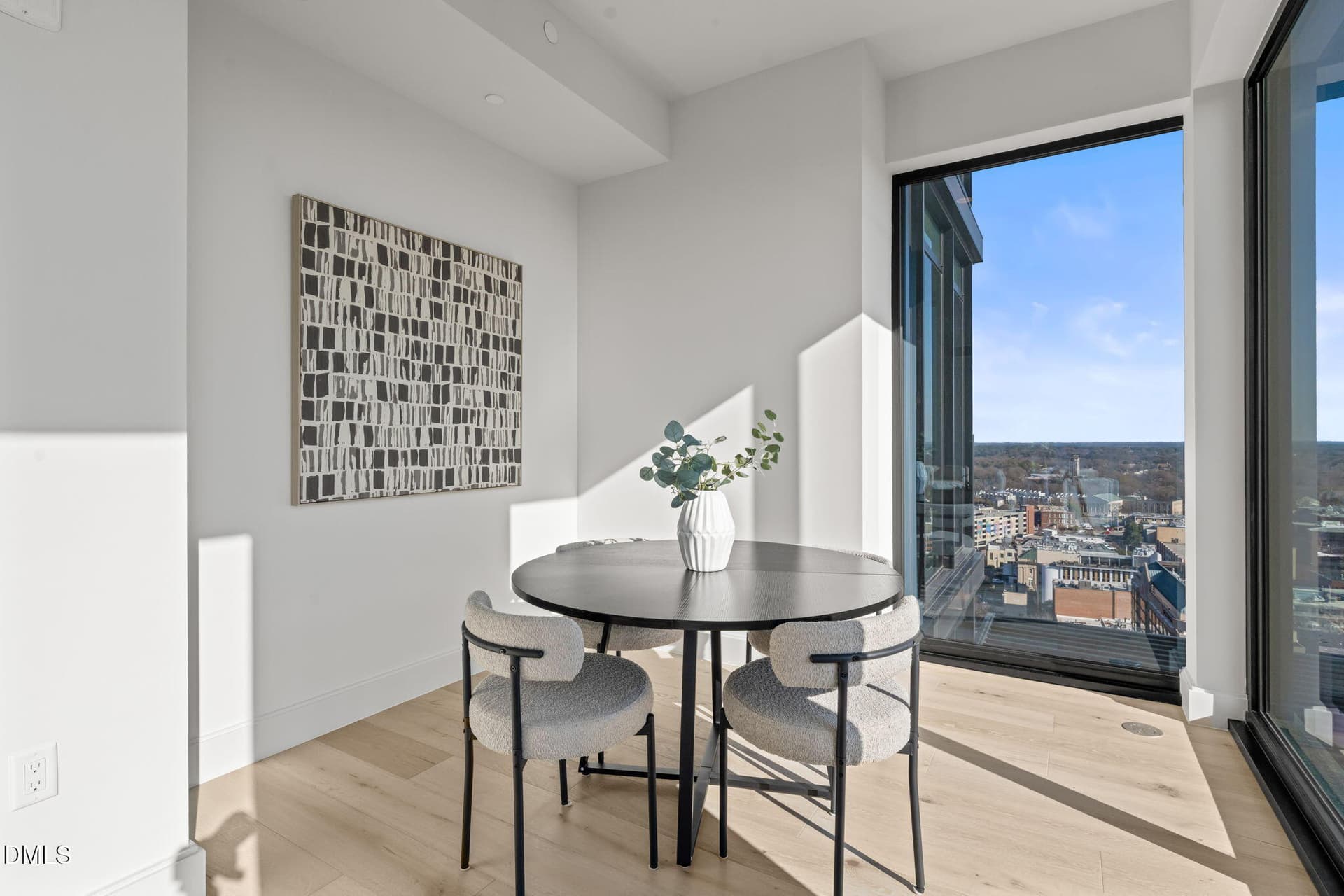 20-web-or-mls-untitled-31 - 115 Morris Street 2205, Durham, NC 27701