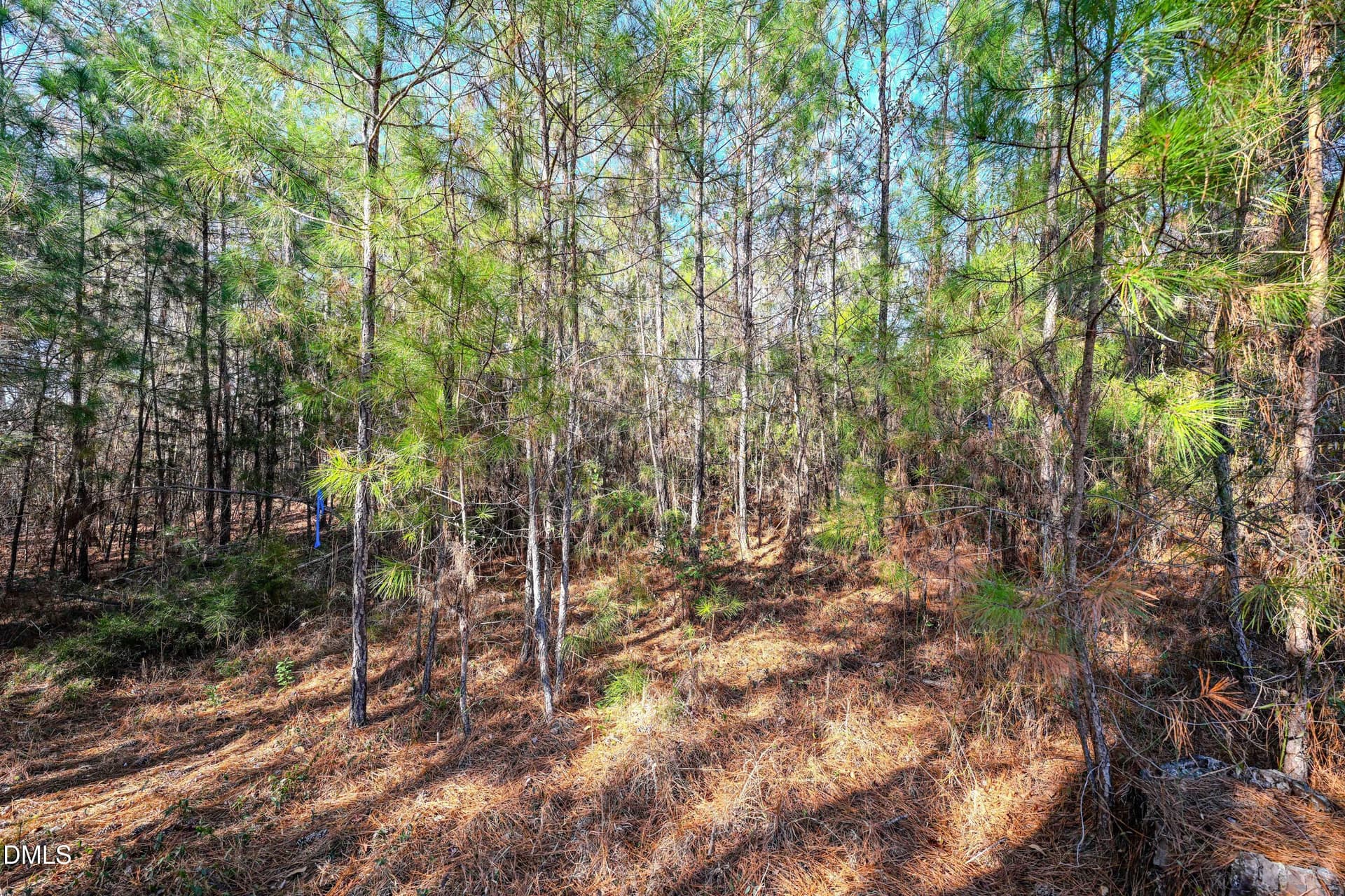 018 - 70 Garland Drive, Cameron, NC 28326
