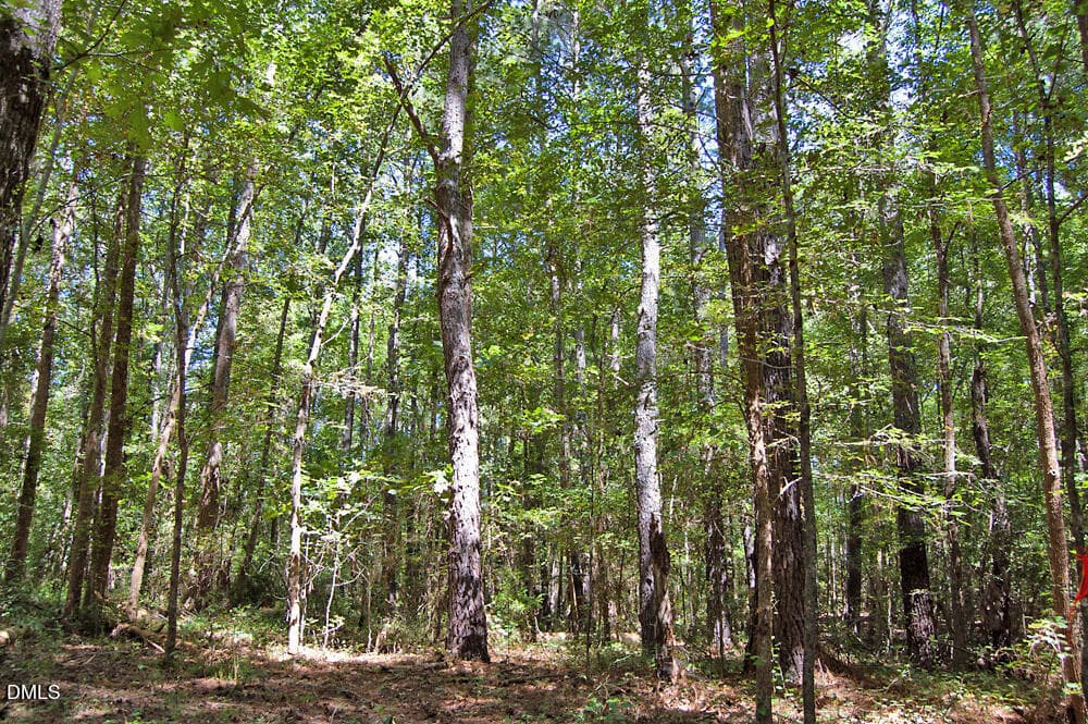 DSC_0748 - 2 Nc Highway 33, Tarboro, NC 27886