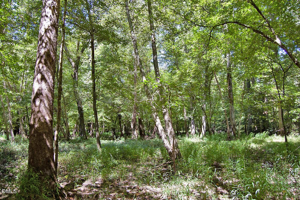 DSC_0759 - 2 Nc Highway 33, Tarboro, NC 27886