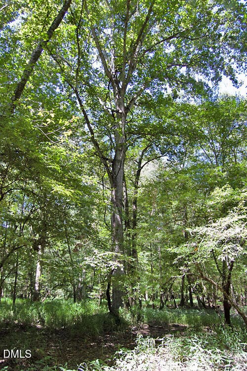 DSC_0761 - 2 Nc Highway 33, Tarboro, NC 27886
