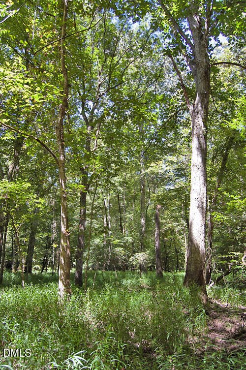 DSC_0763 - 2 Nc Highway 33, Tarboro, NC 27886