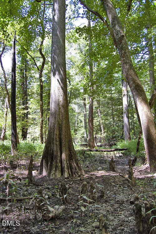 DSC_0765 - 2 Nc Highway 33, Tarboro, NC 27886