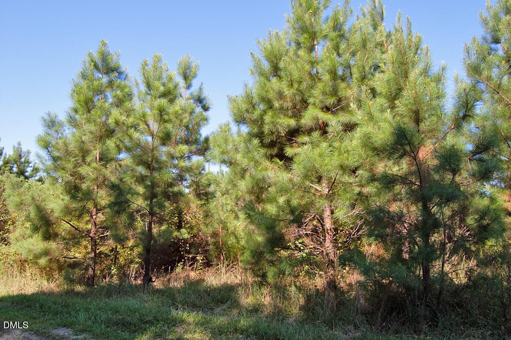 DSC_0700 - 1 Nc Highway 33, Tarboro, NC 27886