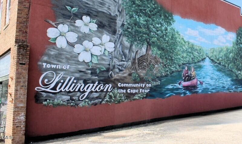 town-mural - 119 Galway Road, Lillington, NC 27546