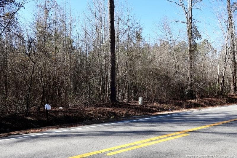 Photo 4 - Hwy 130 Highway, Fairmont, NC 28340