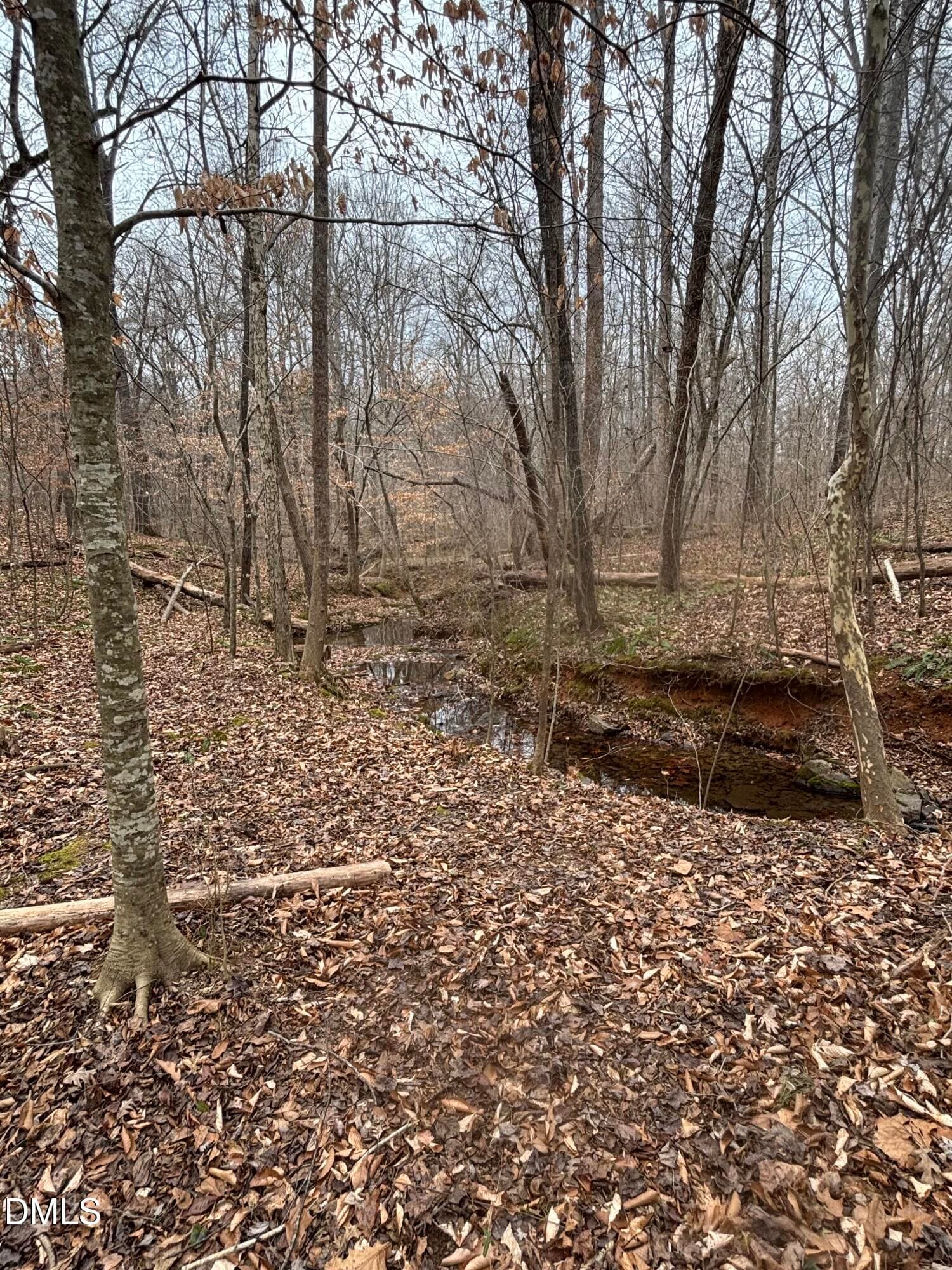 Lots of natural area - 3902 Chucks Court, Burlington, NC 27215, Burlington