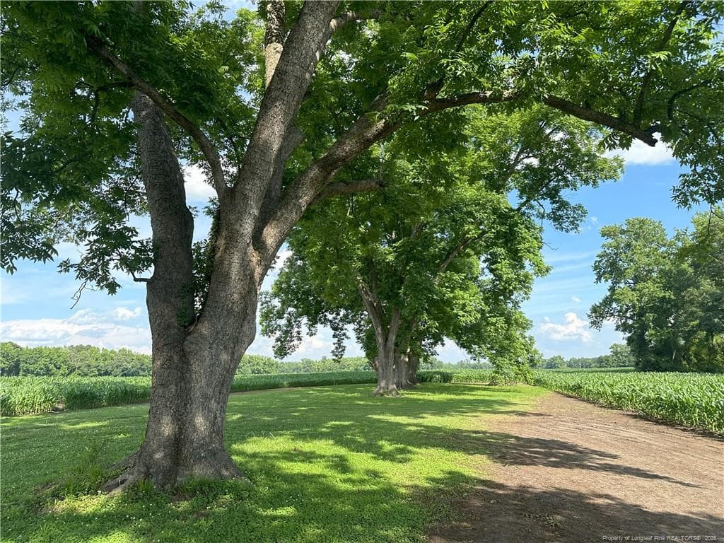 Lot A Pleasant Hope Road, Lumberton, NC 28340