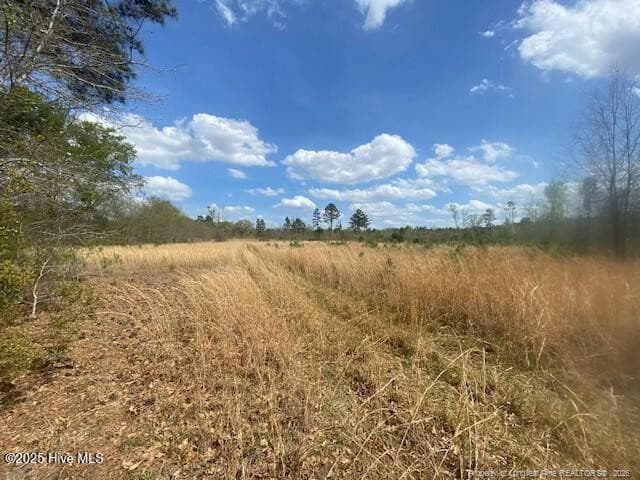 Photo 3 - 28385 Aberdeen Road, Wagram, NC 28396