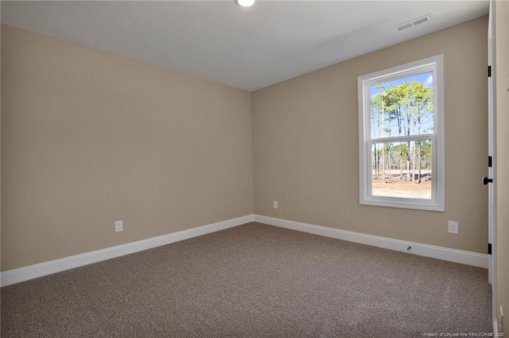 Photo 28 - 161 Merle Road, Pinebluff, NC 28373