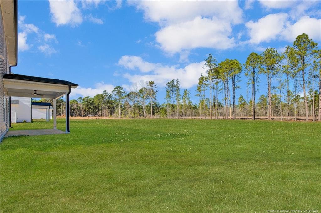 Photo 39 - 161 Merle Road, Pinebluff, NC 28373