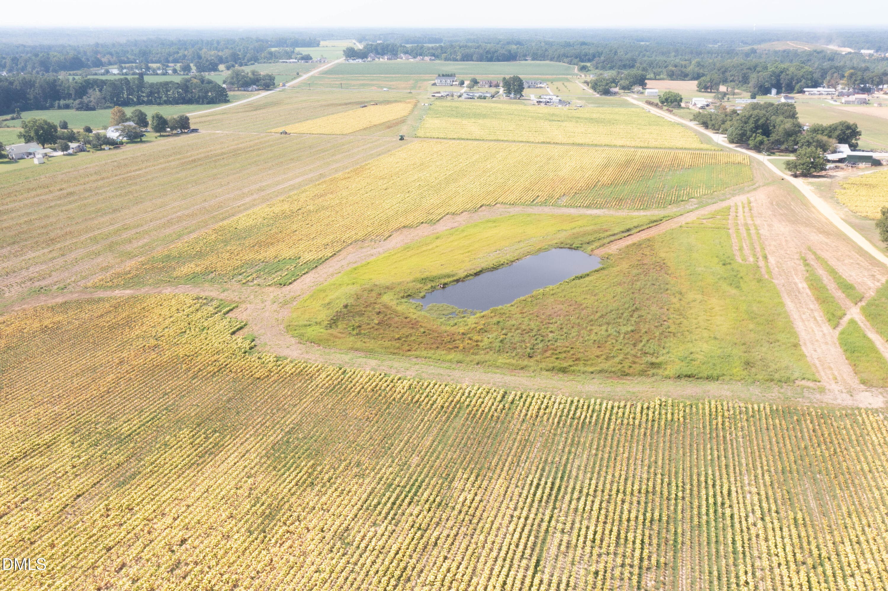 DJI_0706 - 0 Red Hill Church Road, Dunn, NC 28334