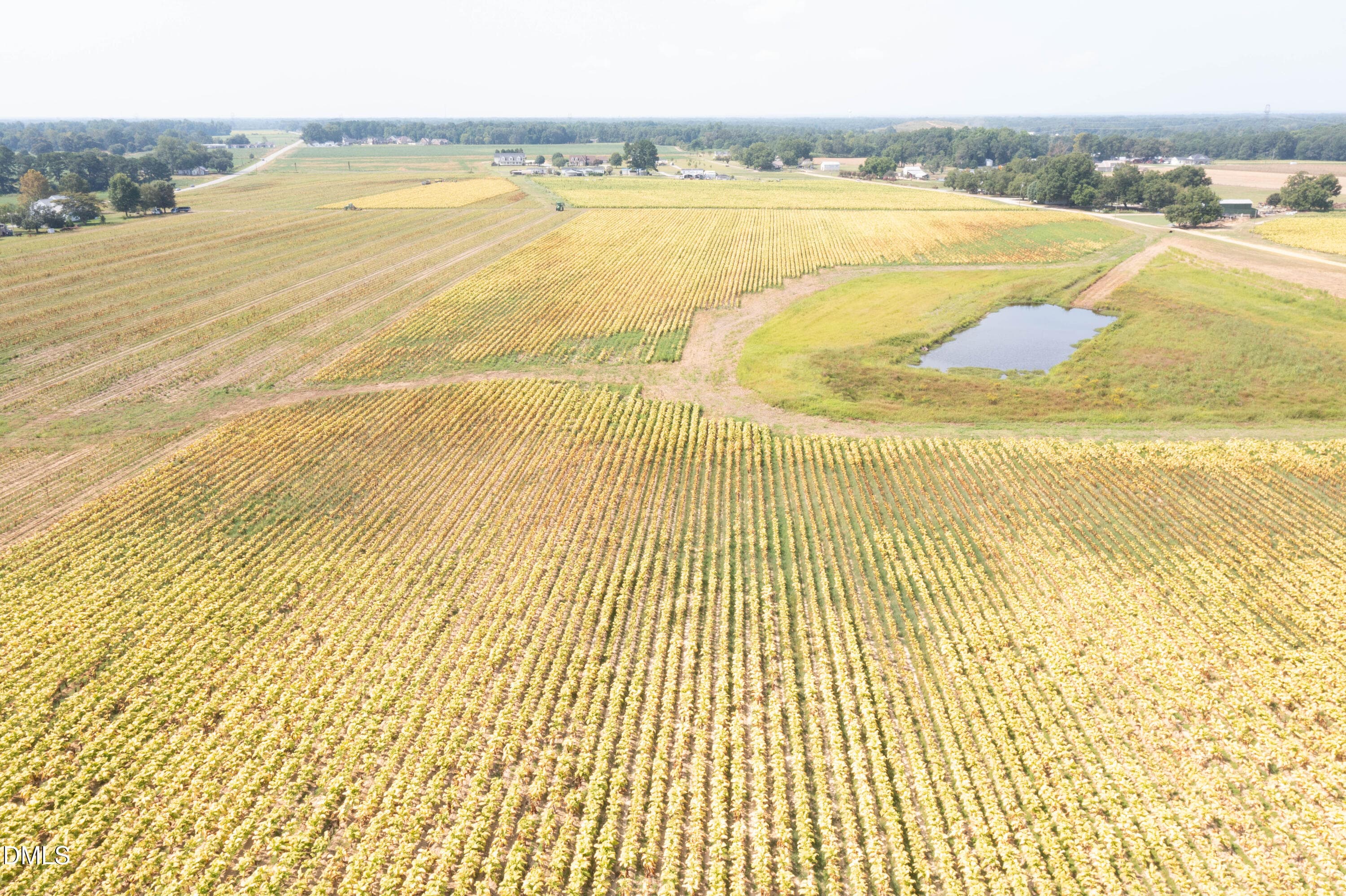 DJI_0707 - 0 Red Hill Church Road, Dunn, NC 28334