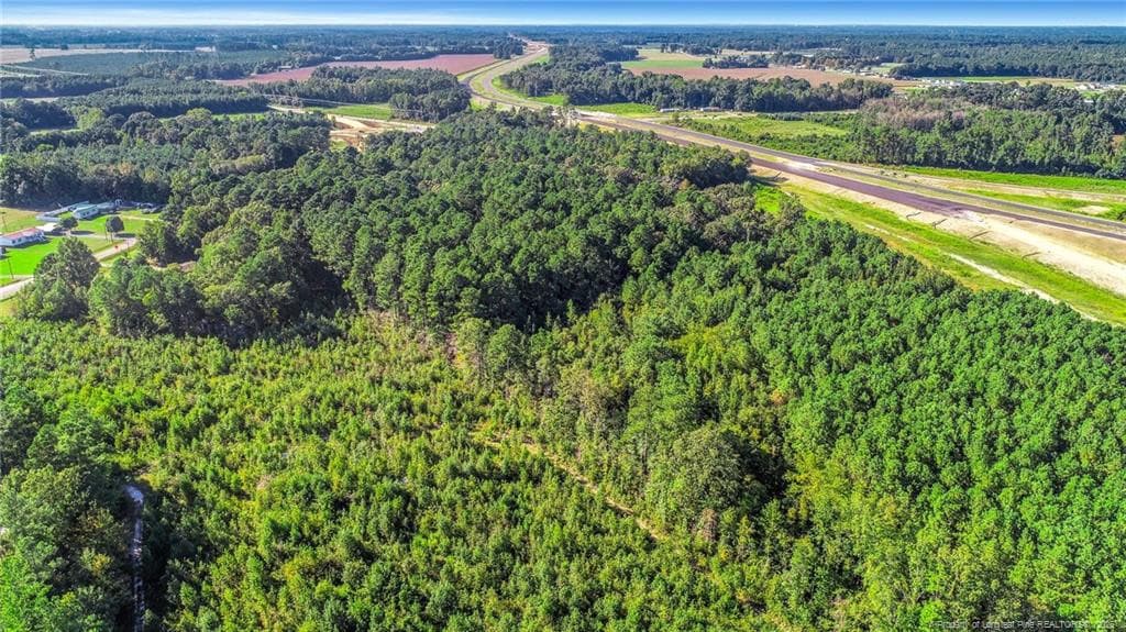 Photo 2 - 0 Everett Road, Parkton, NC 28371