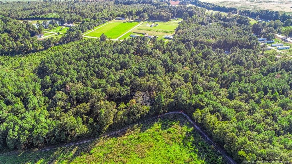 Photo 4 - 0 Everett Road, Parkton, NC 28371