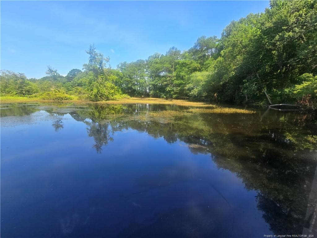 Photo 23 - 0 Everett Road, Parkton, NC 28371